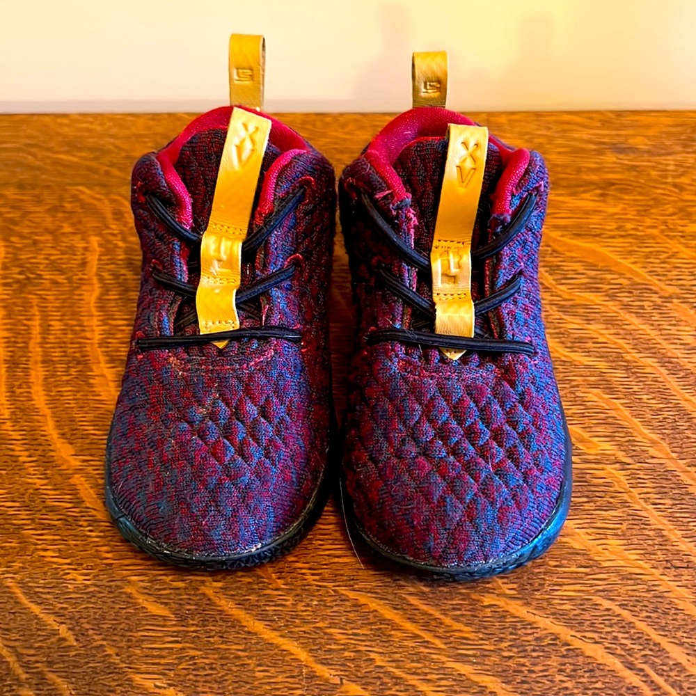 Nike Lebron shoes